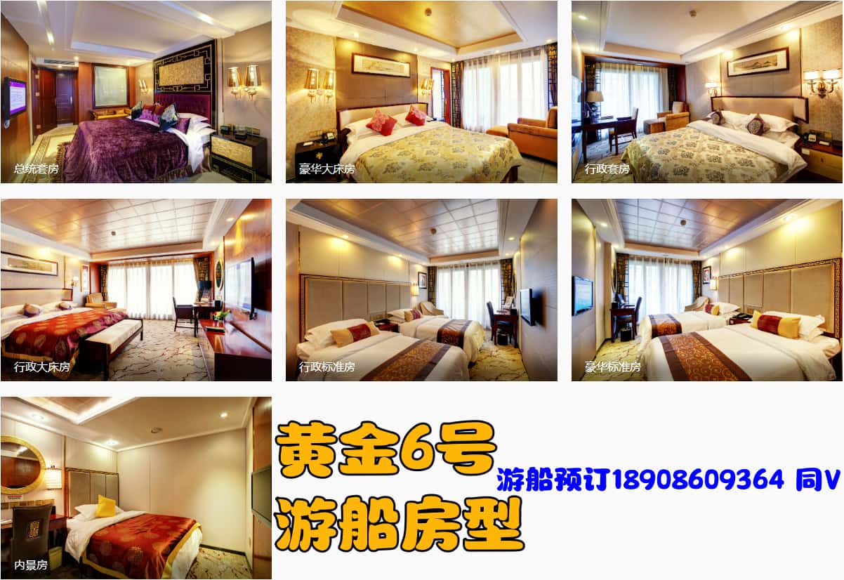 黄金6号房型_副本