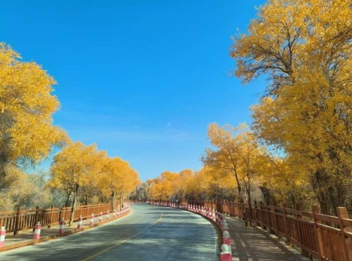 全景南疆双飞8日游 2024年宜昌到新疆旅游团 宜昌到新疆线路推荐图6