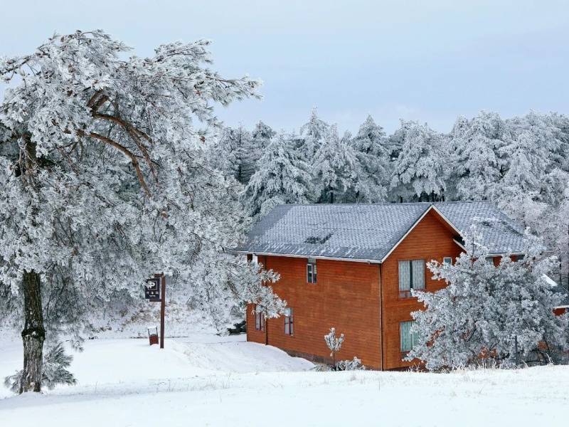 微信图片_20241217152433