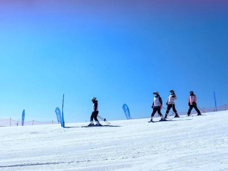 微信图片_20241218150121