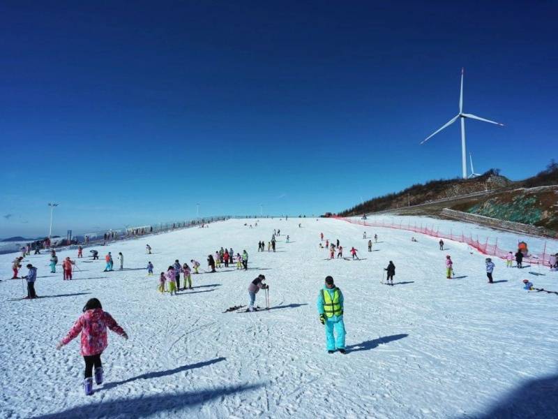 微信图片_20241218150108