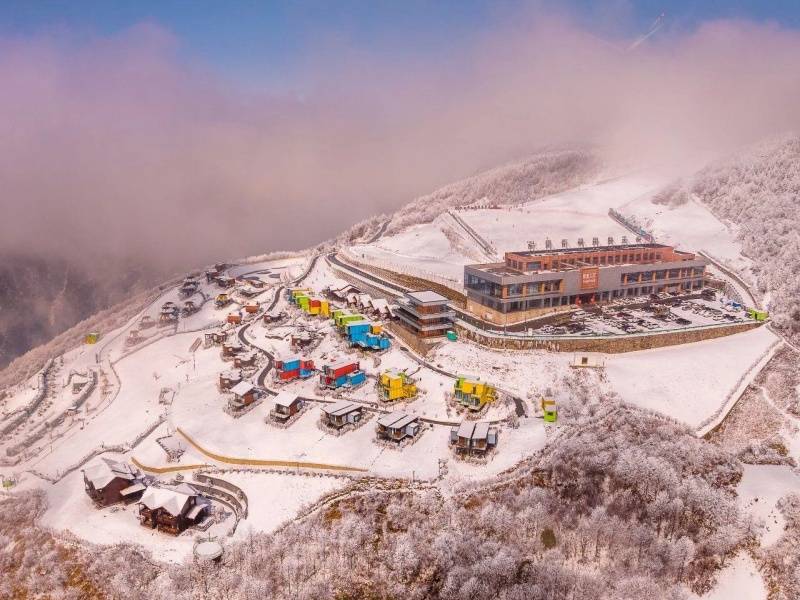 微信图片_20241218150046