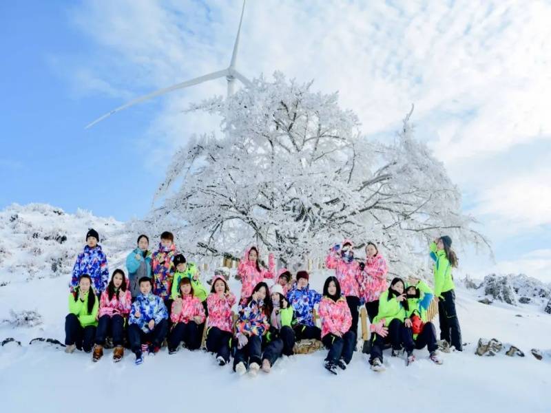 百里荒山楂树合影