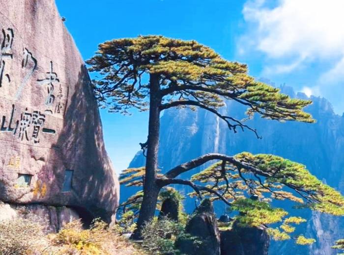 宜昌到黄山品质7日游【春摄皖浙赣 魅力黄千庐】图3