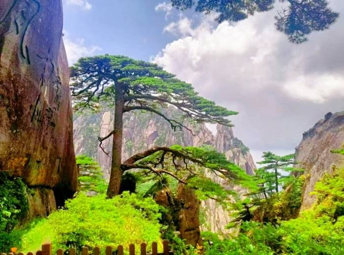 宜昌出发徽州【臻享古徽州 踏觅花深处】动车往返六日游图3