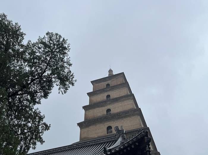 宜昌到西安双卧5日游【期遇千年古都·长安】图3