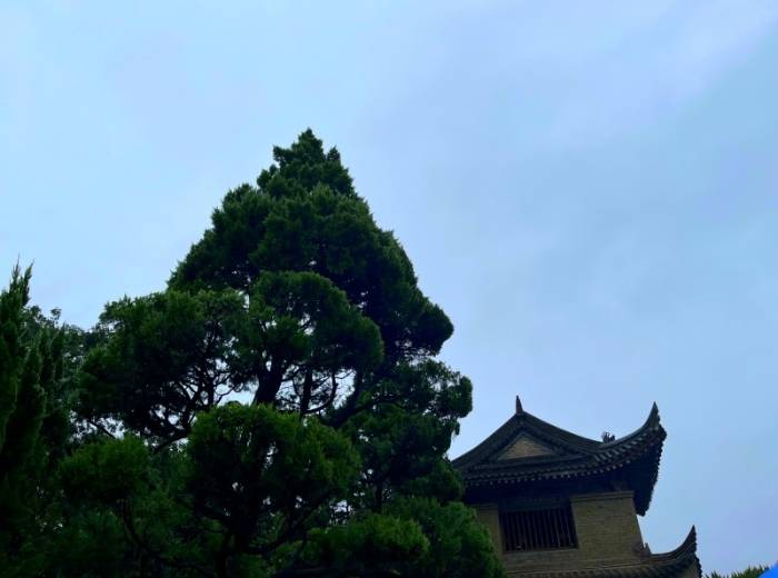 宜昌到西安【秦风唐韵】纯玩品质4日游图3