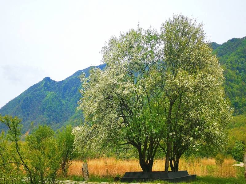 微信图片_20220524165803_副本