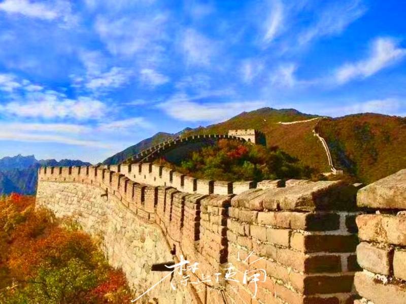 微信图片_20230213152145_副本_副本