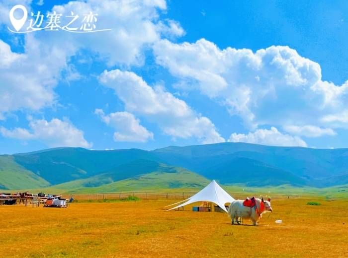 宜昌去西北旅游大概要花费多少钱？/旅行团推荐【边塞之恋】纯玩四钻8日游图1