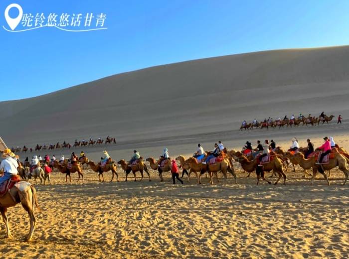 宜昌到西北甘青环线的团推荐/宜昌到甘青环线报价【驼铃悠悠话甘青】带黑独山8日游图1