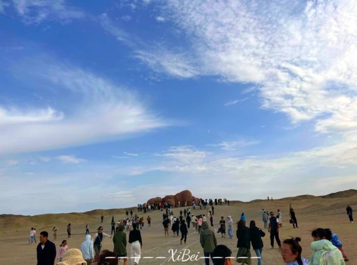 宜昌到西北的甘青大环线团/甘青大环线有些什么景点/性价比【漠上鸣月】纯玩8日游图3