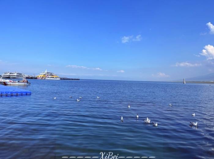 宜昌到西北甘青只需花费几百块/特价优惠/有哪些景点【乐游甘青】青海+甘肃大环线双飞8日游图3