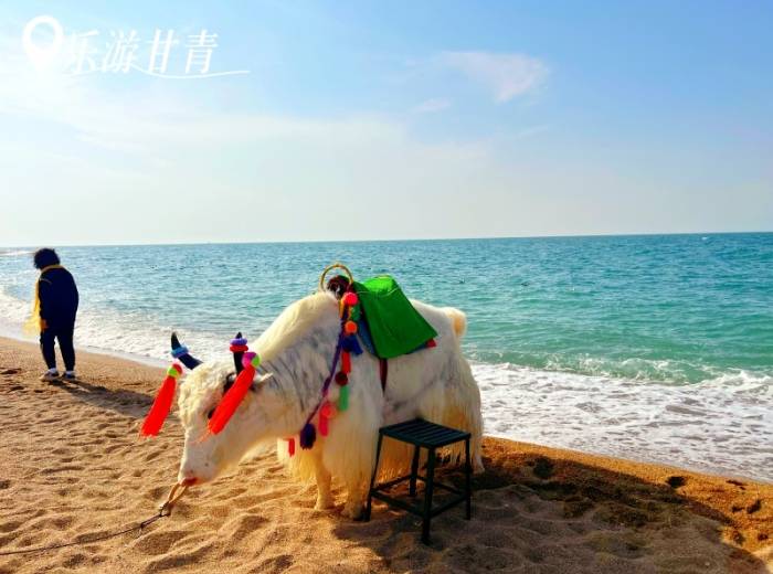 宜昌到西北甘青只需花费几百块/特价优惠/有哪些景点【乐游甘青】青海+甘肃大环线双飞8日游图1