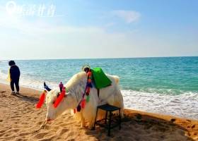 宜昌到西北甘青只需花费几百块/特价优惠/有哪些景点【乐游甘青】青海+甘肃大环线双飞8日游