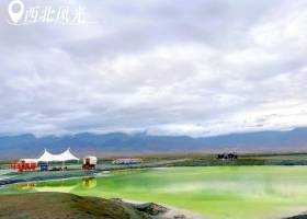 宜昌到西北旅游团的价格对比/甘青大环线玩几天/有些什么景点【西北风光】甘青大环线畅收8日游