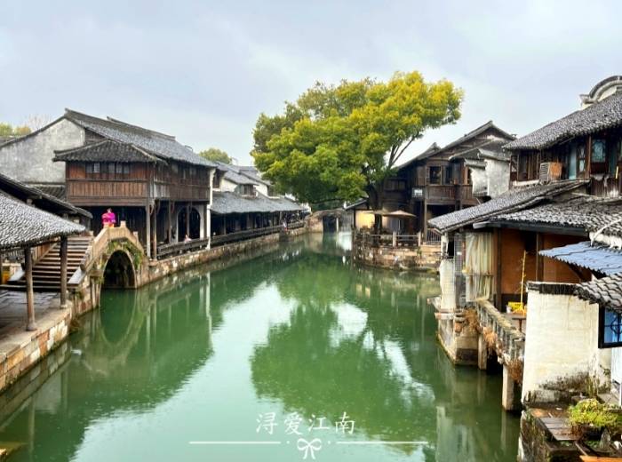 从宜昌到华东七市（扬州+南京+苏州+杭州+上海+常州）的全景6日游/旅游团/畅玩华东七市价格【浔爱江南·全陪班】图1