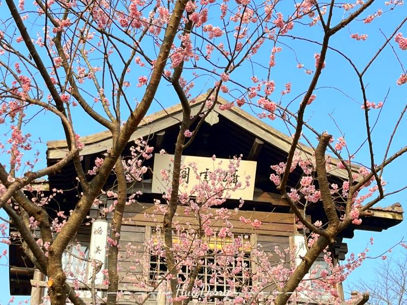 鼋头渚 (2)_副本