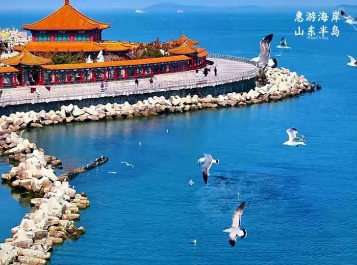 宜昌去山东（青岛+威海+烟台）旅游有些什么景点/具体的旅游行程【惠游海岸山东半岛】纯玩5日游图1