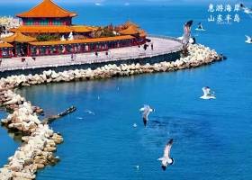 宜昌去山东（青岛+威海+烟台）旅游有些什么景点/具体的旅游行程【惠游海岸山东半岛】纯玩5日游