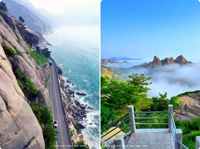 宜昌到山东半岛（青岛+威海+大连）旅游双飞6日游玩攻略/团中包含哪些景点【畅玩山东半岛+大连】双飞6日游图2