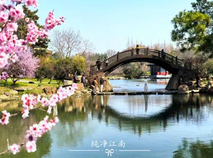 宜昌到华东五市（南京+扬州+苏州+杭州+上海）旅游的团购价格以及景点和游玩攻略【纯净江南】双动纯玩5日游图1