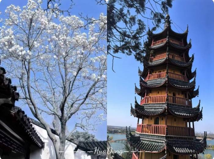 宜昌到华东六市（南京+扬州+无锡+苏州+杭州+上海）旅游的价格/有哪些游玩景点/具体的游玩路线【乐享江南】纯玩5日游图2