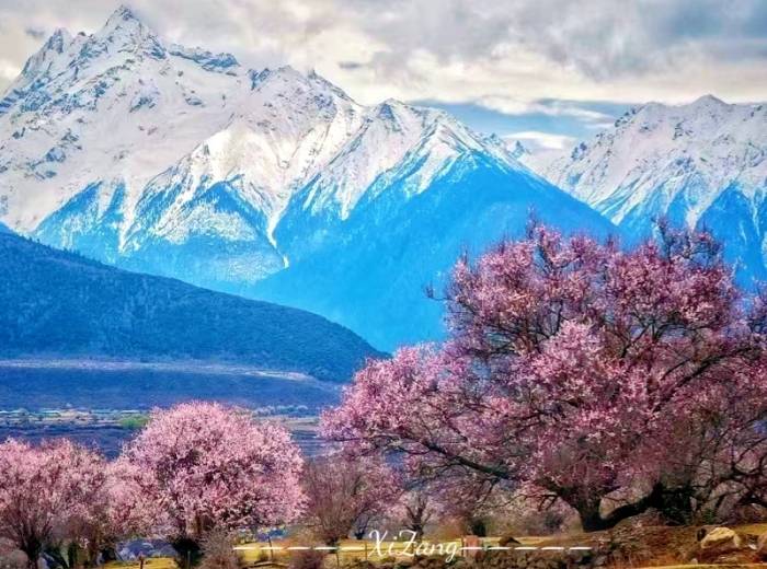 宜昌去往西藏（拉萨+林芝+日喀则）所含的旅游景点/11日前藏+后藏全景游的价格【开往西藏的列车】图4