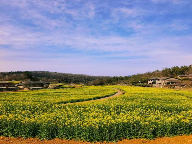 微信图片_20250325090718_副本