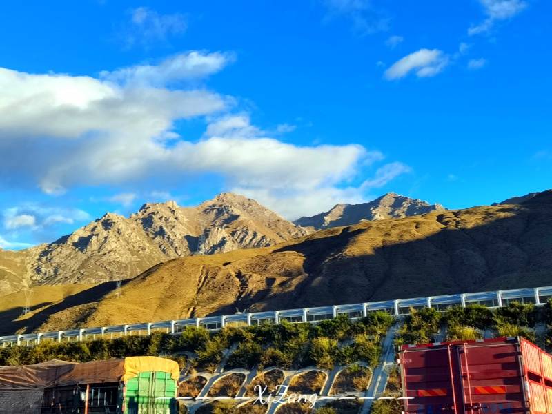 微信图片_20250321164648_副本