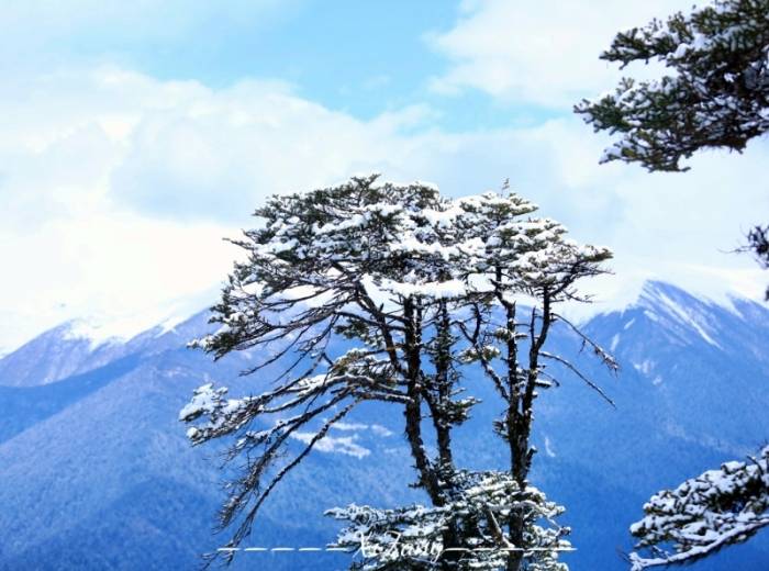 宜昌到西藏（拉萨+林芝+羊湖）旅游跟团/团报价/游玩攻略【趣西藏耍】双卧11日 卧飞9日图2