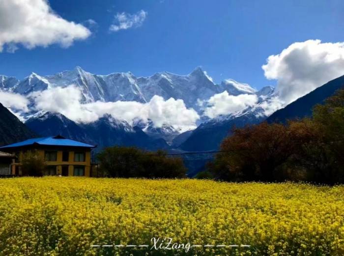 宜昌去西藏（拉萨+林芝+羊湖）一价全含价格/游玩景点有哪些【西藏情歌】双卧11日，卧飞9日图4