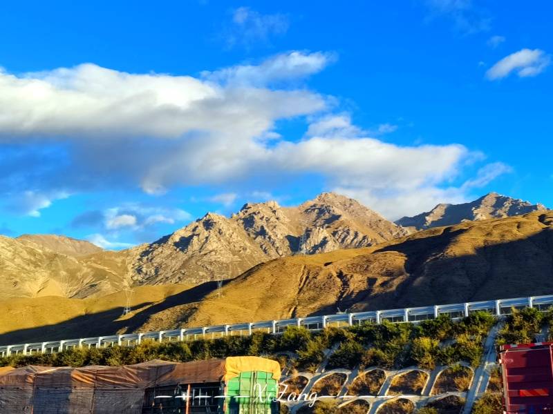 微信图片_20250321164648_副本