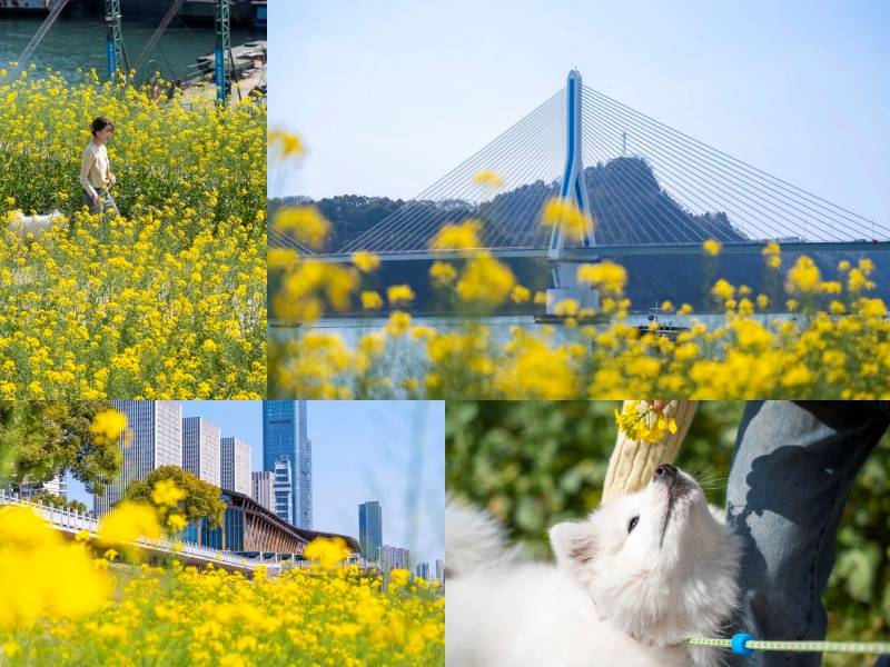 微信图片_20250327084305_副本