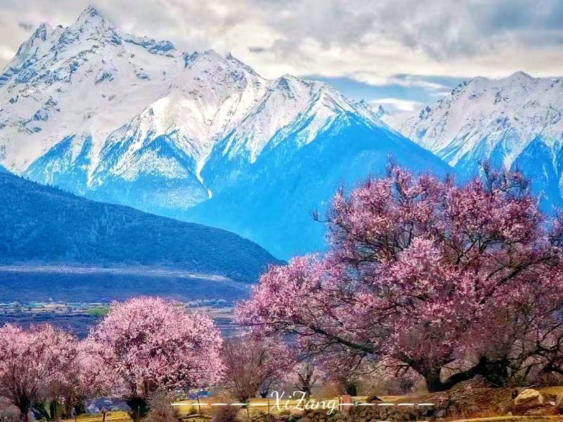 微信图片_20250321155055_副本