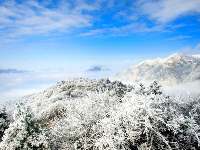 微信图片_20250328085150_副本