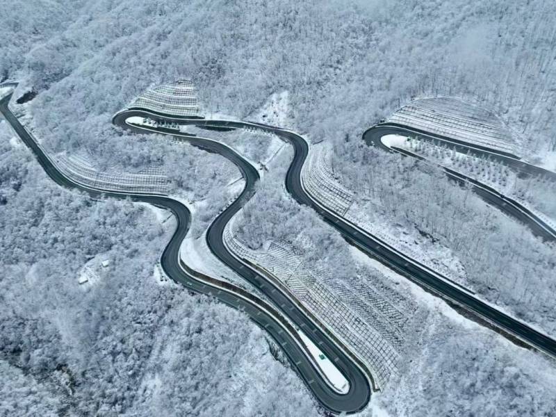 微信图片_20250328085141_副本