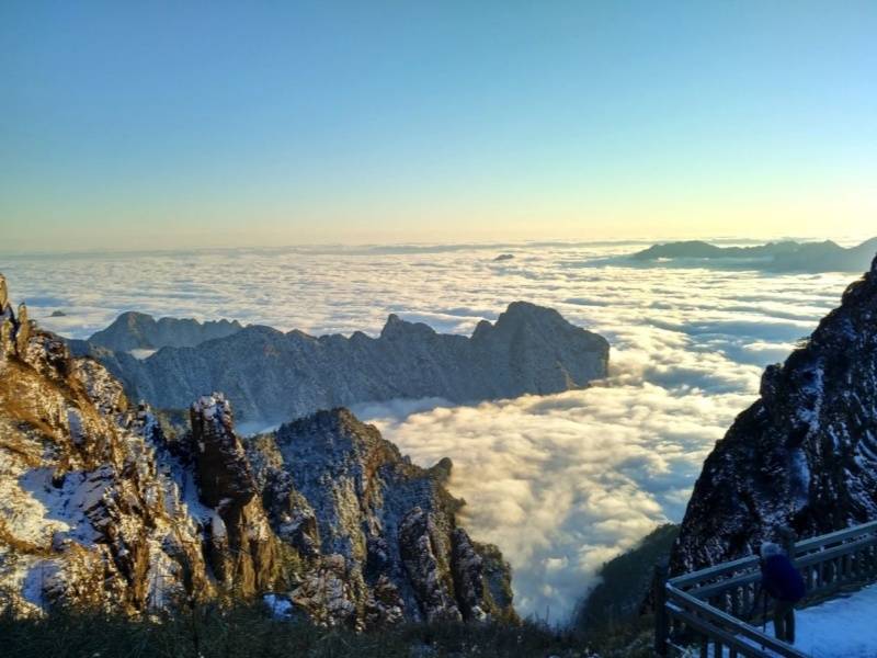 微信图片_20250328085221_副本