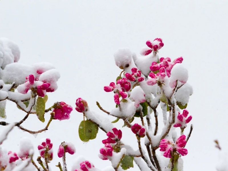 微信图片_20250328085315_副本