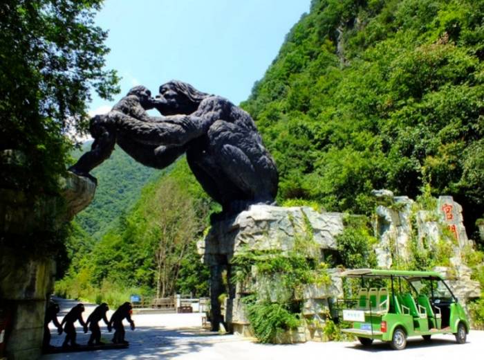 十月的大九湖太美您不得不去！车进神农架大九湖三日游图2