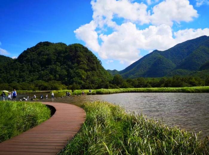 宜昌到神农架 大九湖品质三日游【深度纯玩】图4