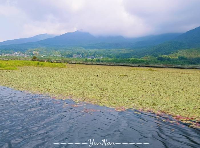 宜昌到云南昆明+芒市+瑞丽+腾冲纯玩6日团花费多少钱/行程具体安排【私享家】图2