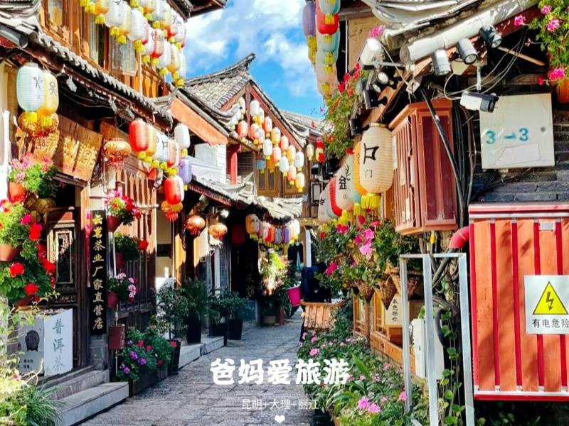 宜昌到云南昆明+大理+丽江适合父母的旅行团/团的具体行程/旅游攻略【爸妈爱旅游】6日游