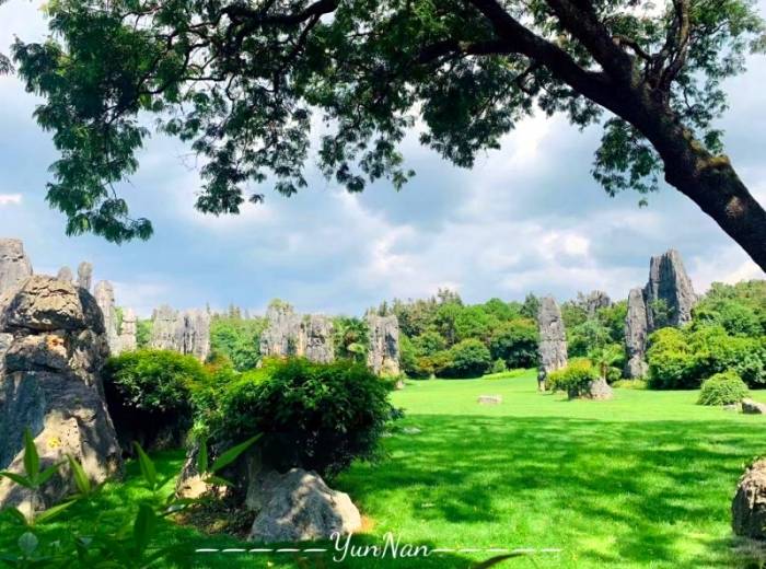 宜昌到云南昆明+大理+丽江适合父母的旅行团/团的具体行程/旅游攻略【爸妈爱旅游】6日游图3