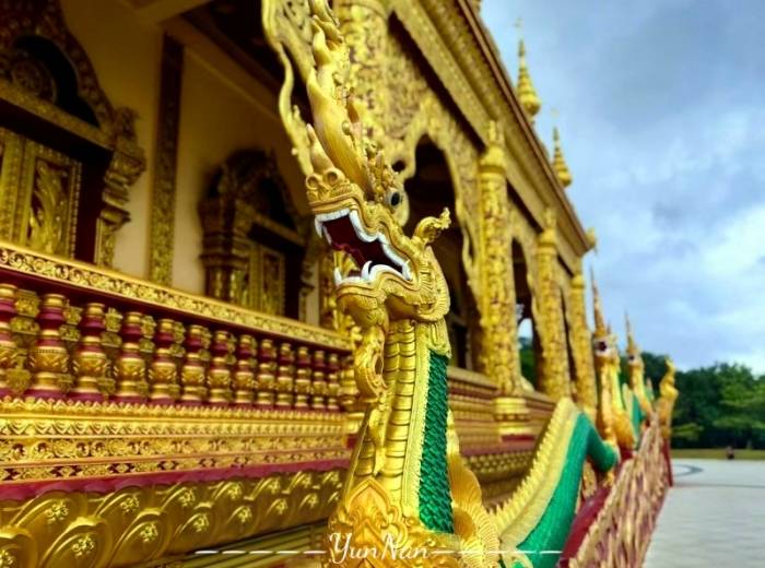 宜昌去云南昆明+西双版纳的游玩路线以及游玩攻略/团报价【雨林版纳】6日游图4