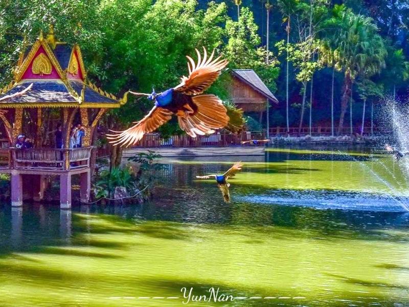 63eaee2eac7094aeb45794a3cdc6679_副本