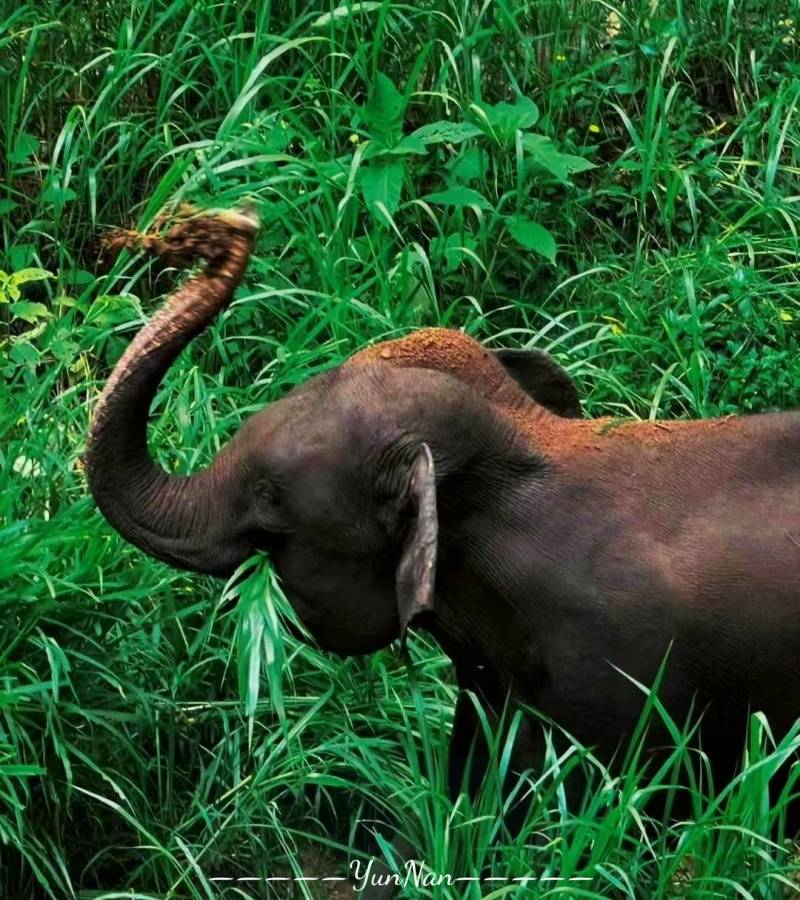 337089333115bf3a4ff189a7a2bf540_副本