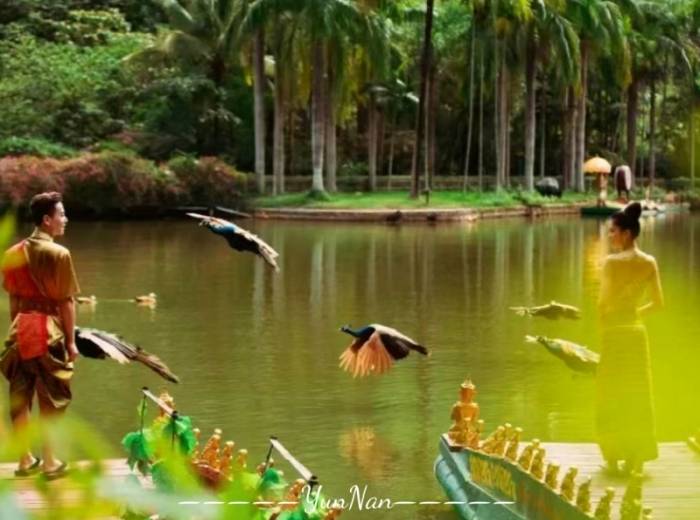 宜昌到云南西双版纳游玩要多少钱/包含哪些景点【纵情版纳】6日游图2