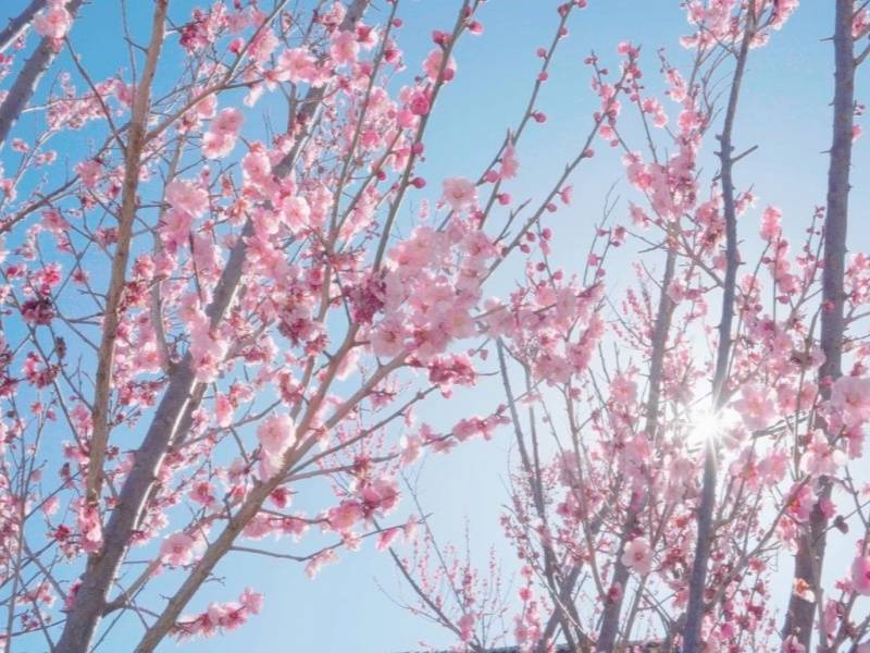 微信图片_20250402161544