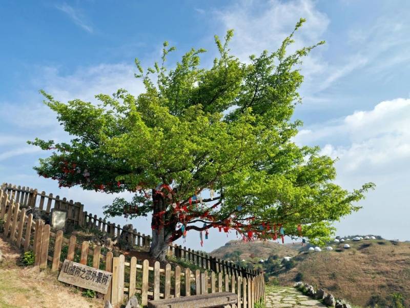 微信图片_20250402161707